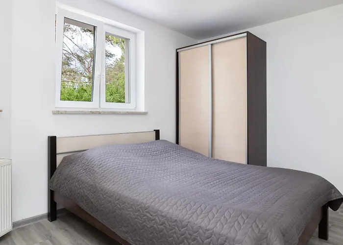 Len - Przy Samym Zejsciu Na Plaze Dziwnówek